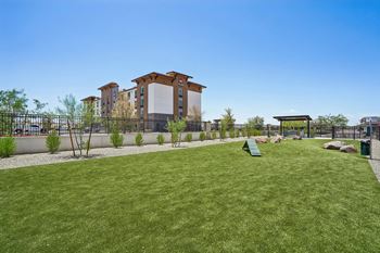 Oversized dog park with pet-friendly community design